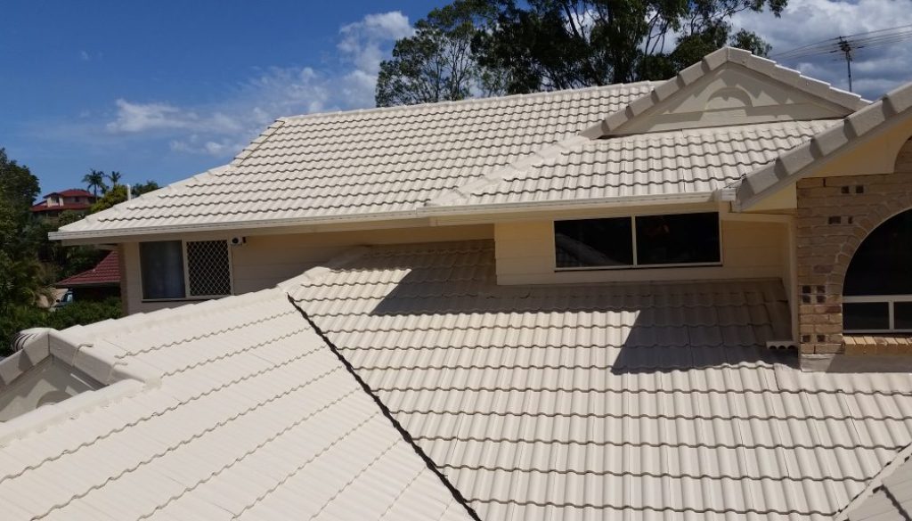 roof painting