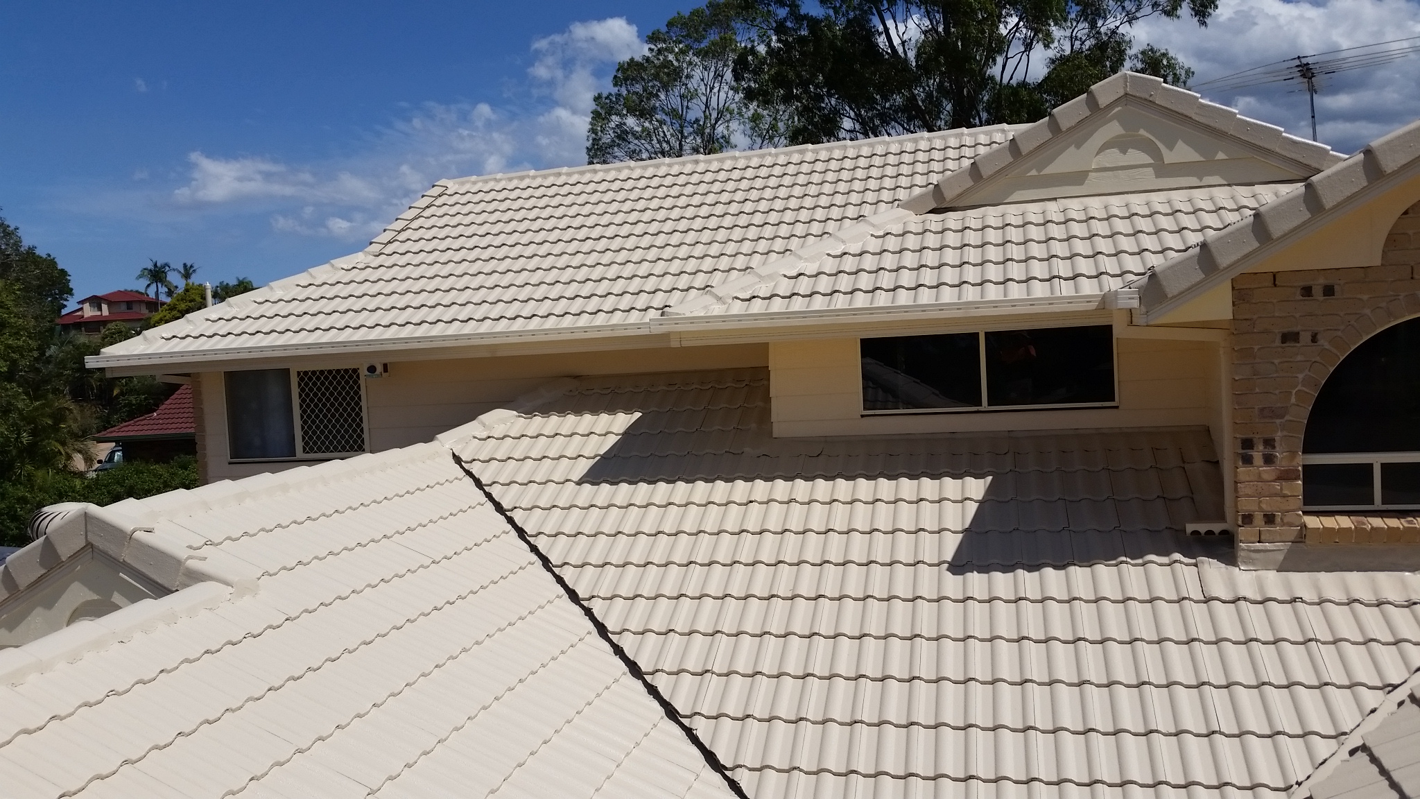 roof painting